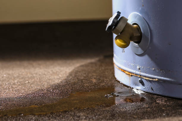 Best Sewage cleanup and water damage restoration  in Mason City, IA