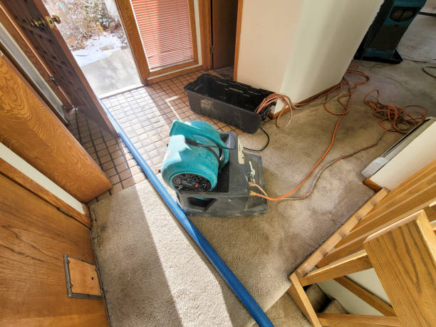 Best Water damage restoration near me  in Mason City, IA