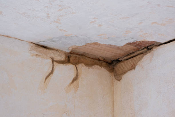 Best Flood damage cleanup  in Mason City, IA