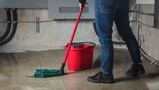  Mason City, IA Water damage restoration Pros