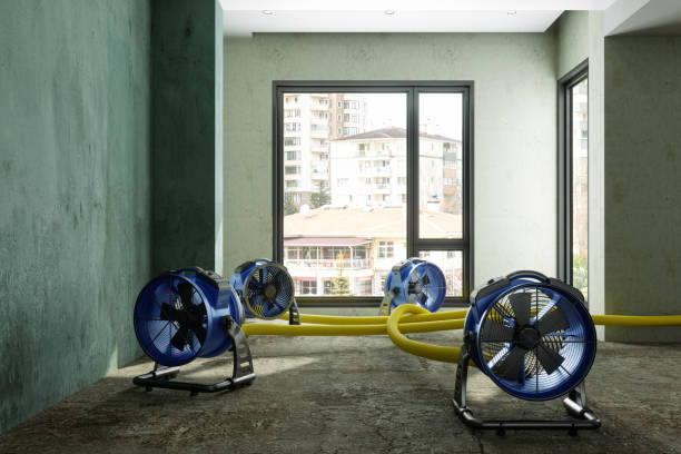 Best Mold removal after water damage  in Mason City, IA